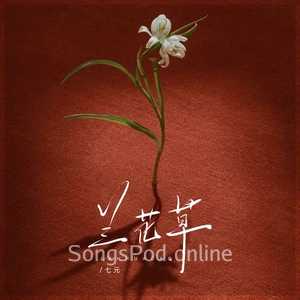 兰花草