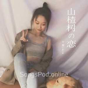 山楂树の恋