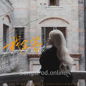 我会等 (英文版 I will wait)