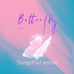 Butterfly（蝴蝶）